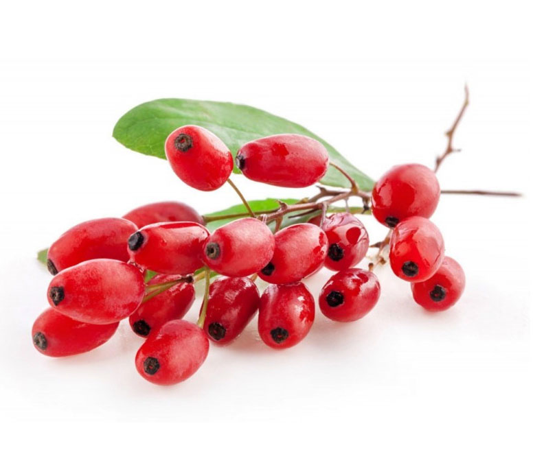 Kadıntuzluğu Konsantresi