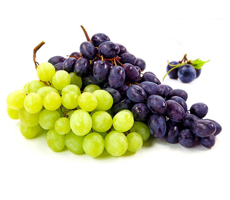 Beyaz & Kırmızı Üzüm Konsantresi